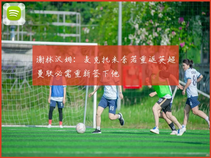 谢林汉姆：麦克托米奈若重返英超曼联必需重新签下他