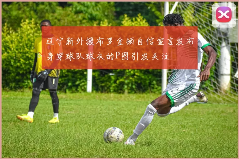 辽宁新外援布罗金顿自信宣言发布身穿球队球衣的P图引发关注
