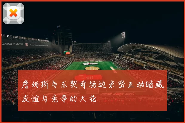 詹姆斯与东契奇场边亲密互动暗藏友谊与竞争的火花